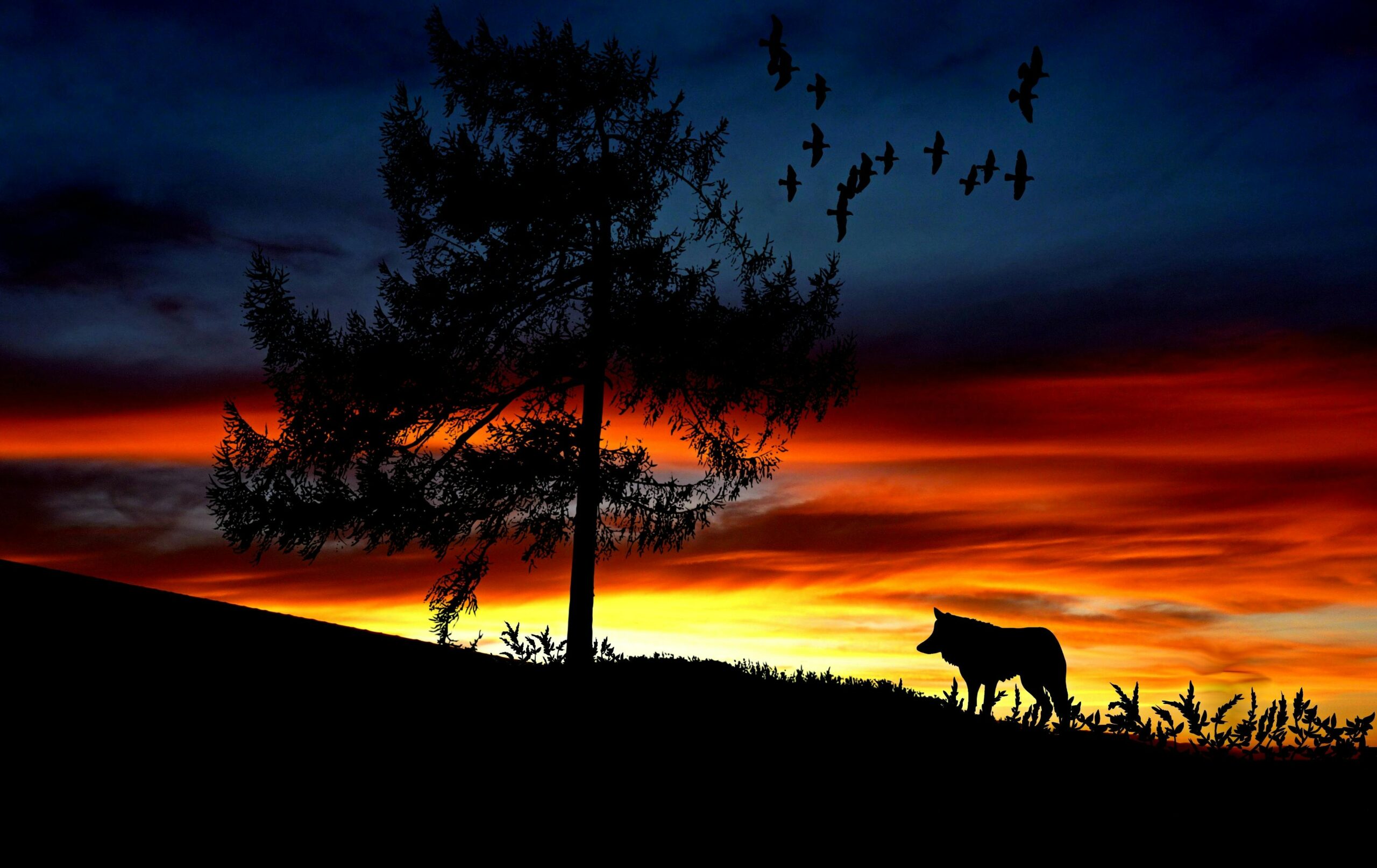 Dramatic silhouette of a wolf and tree against a colorful sunset sky.